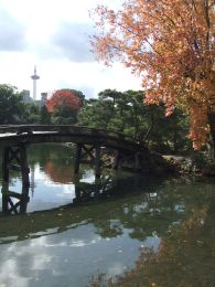f0149731_011757.jpg