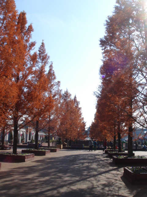 c0100534_215063.jpg