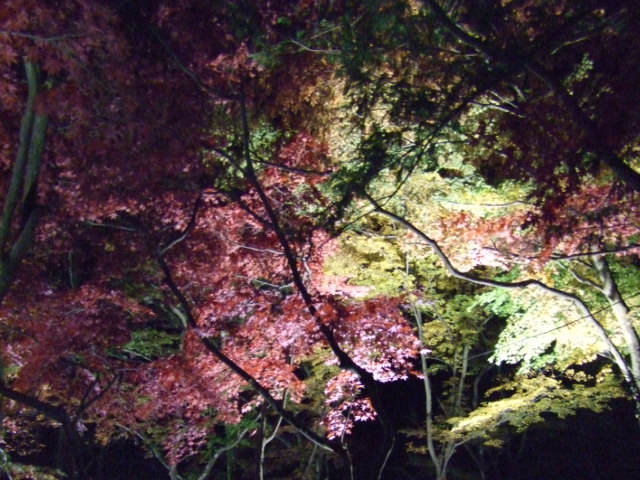 d0150739_031016.jpg