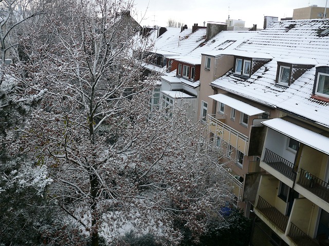 c0153740_314730.jpg