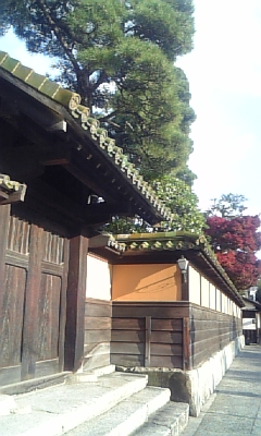 d0067640_17455112.jpg