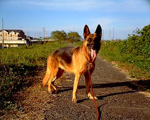 c0107144_024985.jpg
