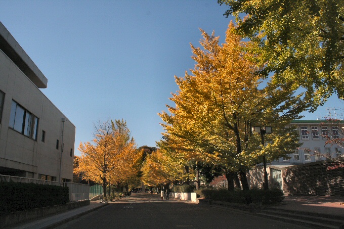 f0174244_21563537.jpg