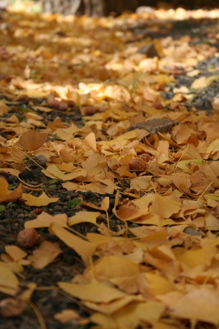 f0174244_21571045.jpg