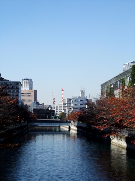d0023346_2130230.jpg