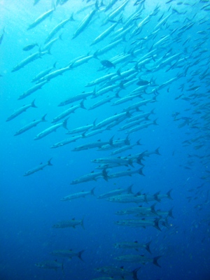 e0027447_11535546.jpg