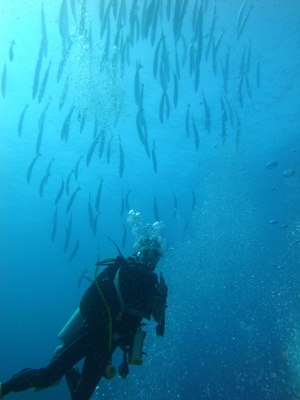 e0027447_1201464.jpg