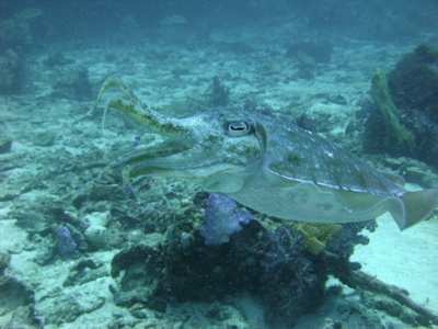 e0027447_1262885.jpg