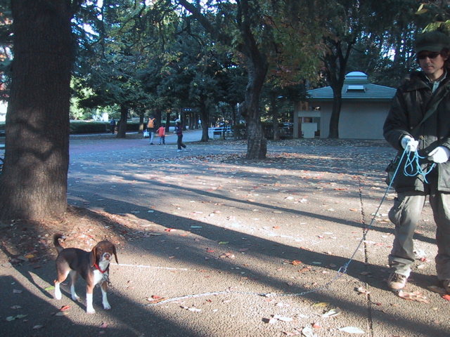 f0046250_1204930.jpg