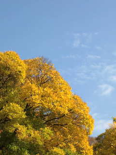 b0054956_2137437.jpg