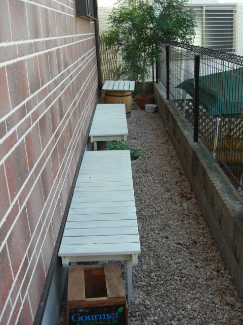 c0169360_2262412.jpg