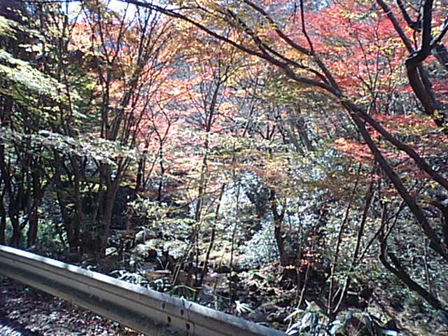f0106160_2140264.jpg