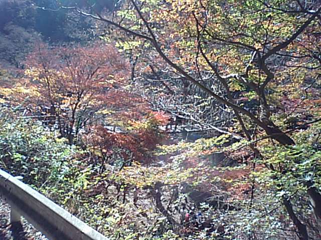 f0106160_2140317.jpg