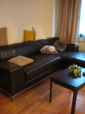 e0079166_303642.jpg