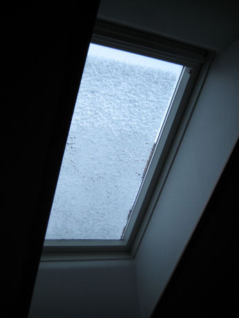 e0079166_315554.jpg