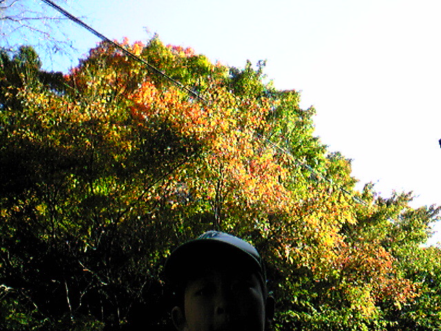 c0138868_914727.jpg