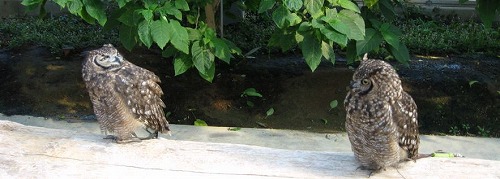 e0041168_1034057.jpg
