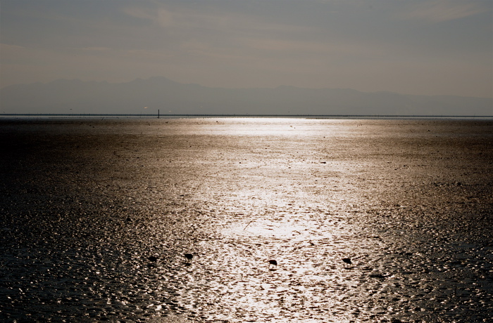 e0129669_0291689.jpg
