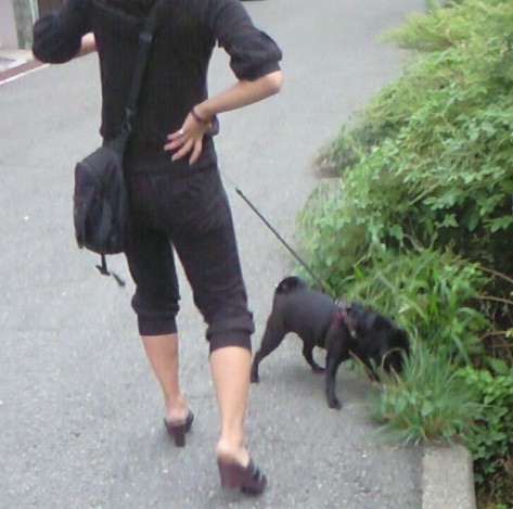 f0014371_13215436.jpg