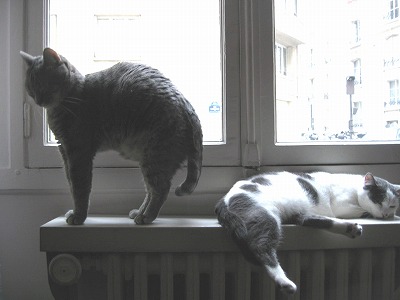 d0008073_21343794.jpg