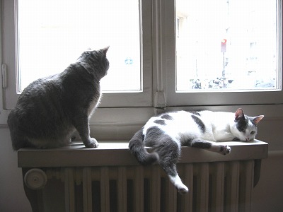 d0008073_2135335.jpg