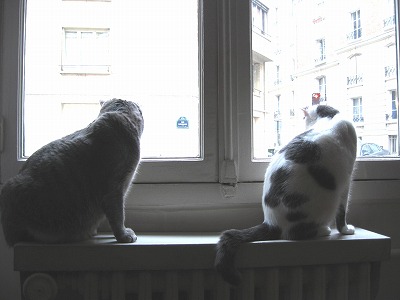 d0008073_21353423.jpg