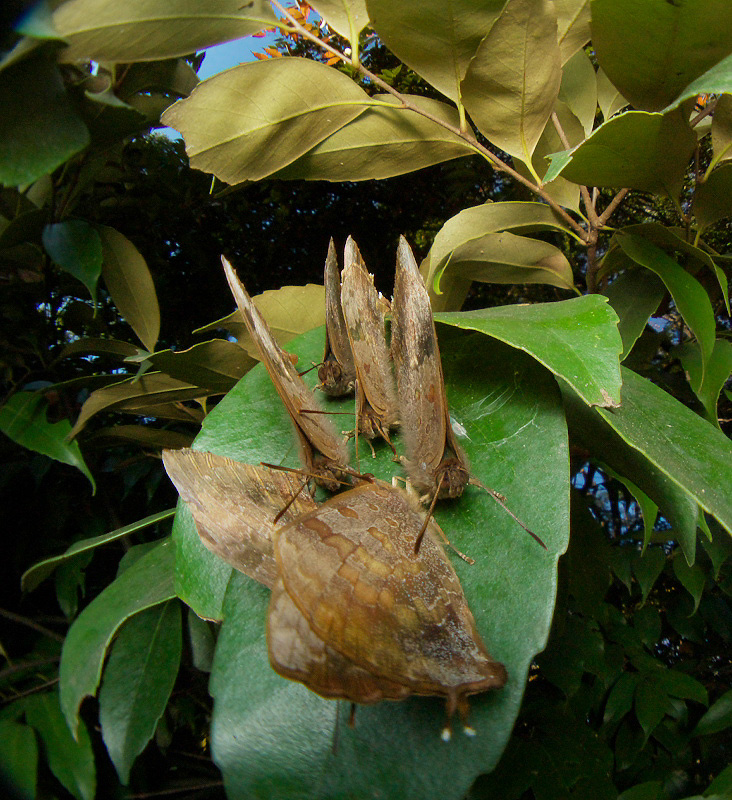 f0090680_20252851.jpg