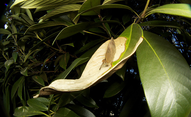 f0090680_20255538.jpg