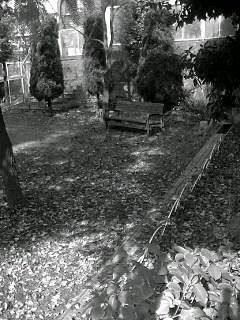 f0100480_13353070.jpg