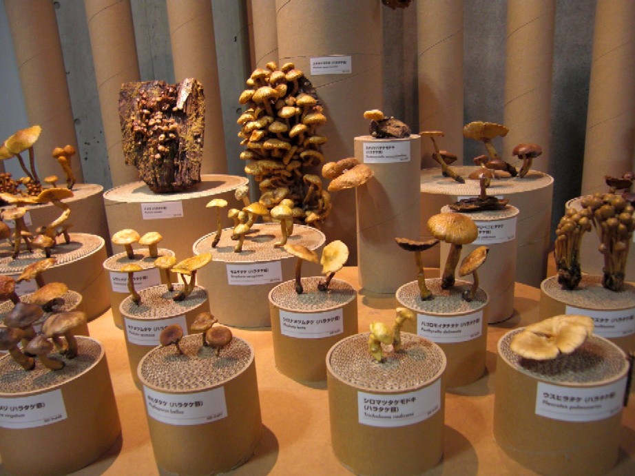 e0027681_21233578.jpg