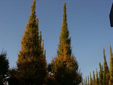 b0107483_8585383.jpg