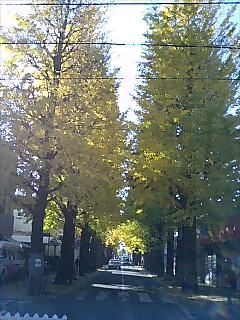 c0148485_19161920.jpg