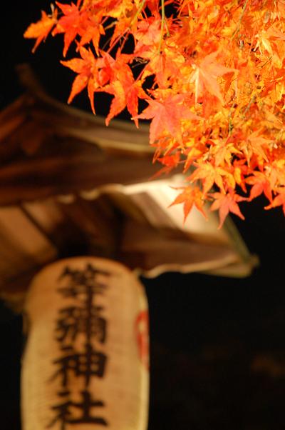 b0100489_5394785.jpg