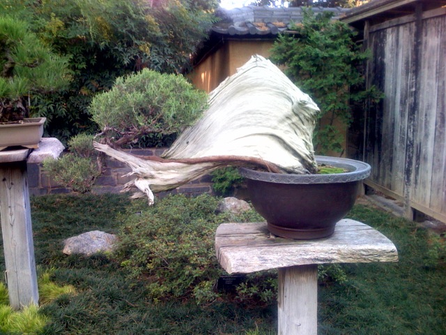 c0090390_17584639.jpg