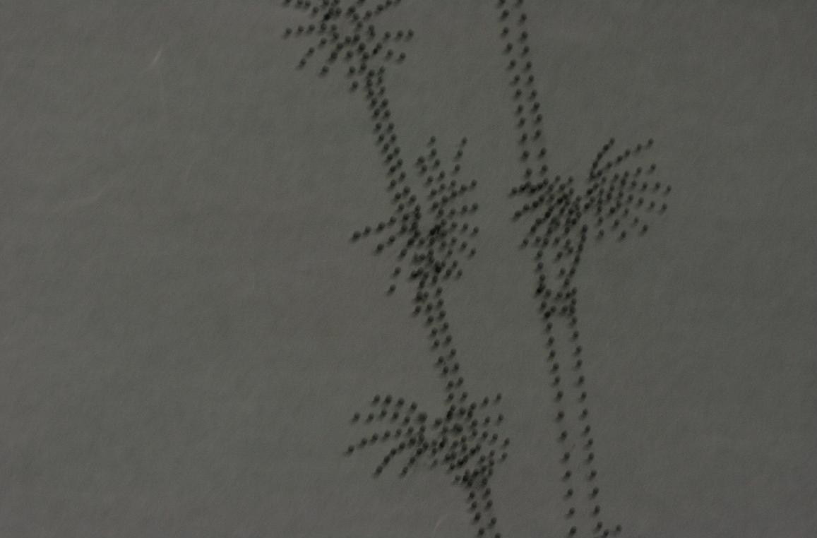 d0133693_91812.jpg