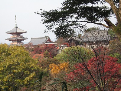 c0087094_1761253.jpg