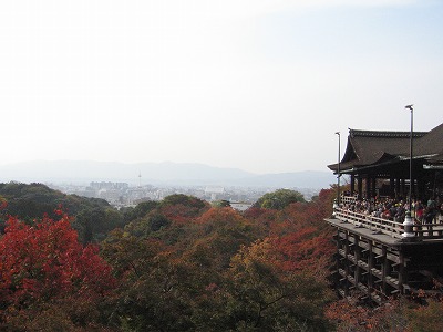 c0087094_177493.jpg