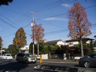 f0130894_21495691.jpg