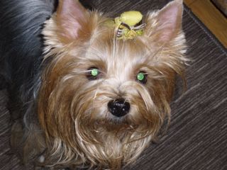 f0130894_21514762.jpg