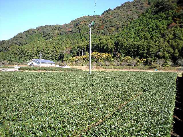 f0042295_2513017.jpg