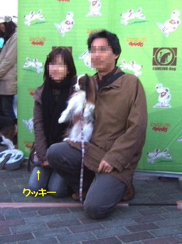 c0044199_22141512.jpg