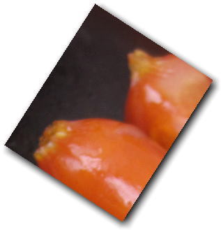 e0014000_2282469.jpg