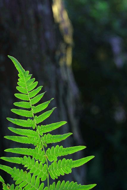f0083400_21154699.jpg