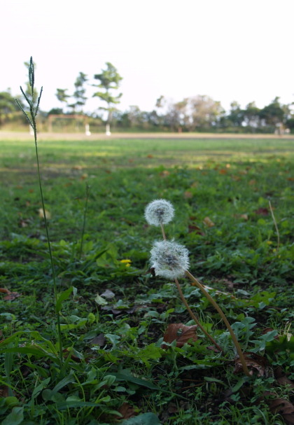 e0089001_2015740.jpg