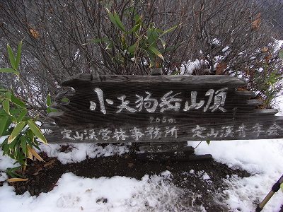 f0157901_20431296.jpg