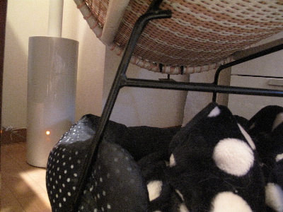 a0079803_0403751.jpg