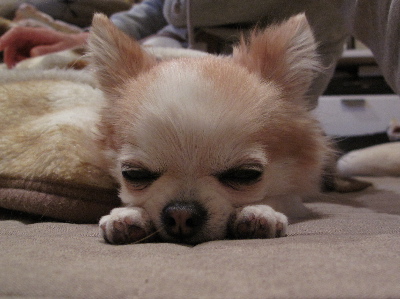 a0079803_046017.jpg
