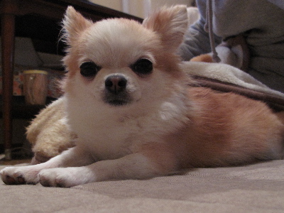 a0079803_0462967.jpg