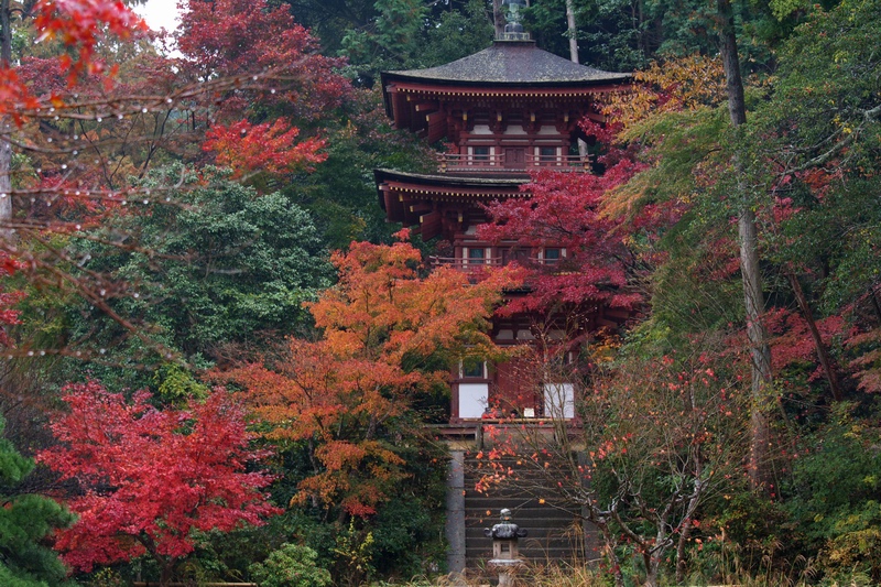 c0043403_21493924.jpg