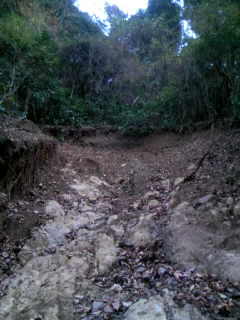 c0032006_2010221.jpg